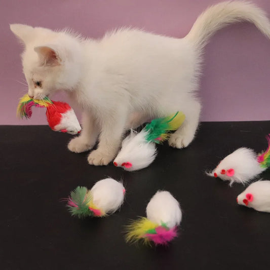 Feather Mouse Cat Toy